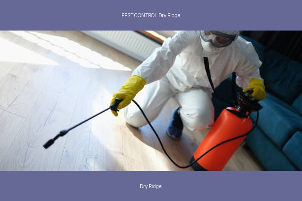 PEST CONTROL Dry Ridge
